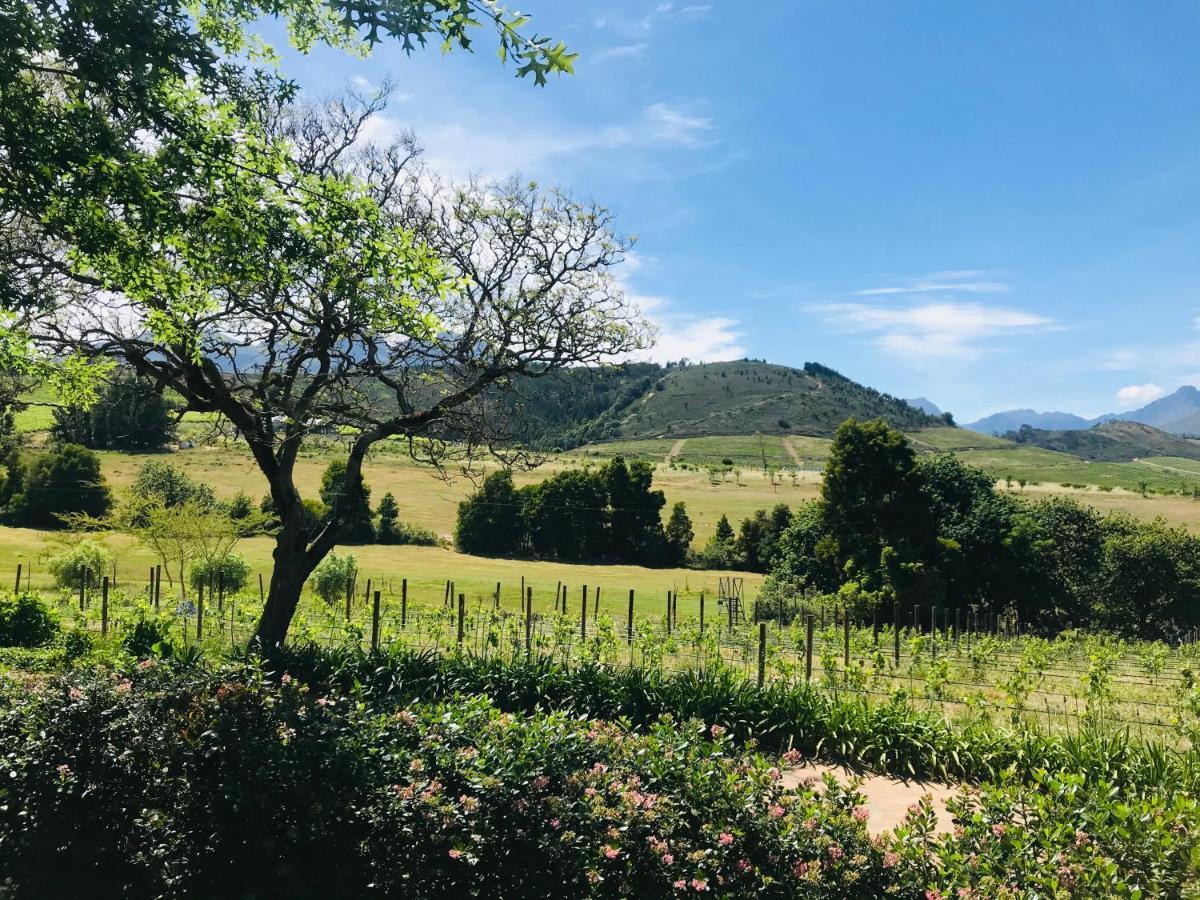 Winelands Guest Room Stellenbosch Kültér fotó